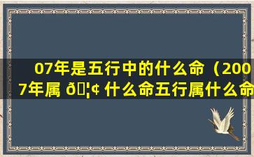 07年是五行中的什么命（2007年属 🦢 什么命五行属什么命）